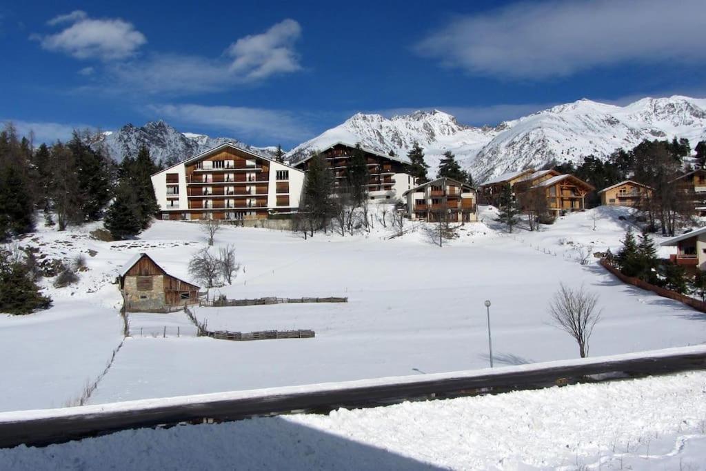 Studio Auron Luaran gambar